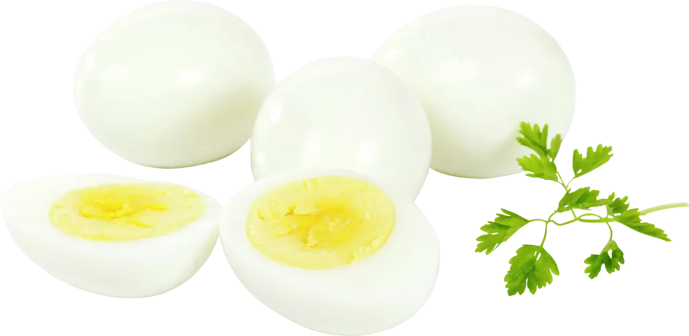 5qybz4ljnq