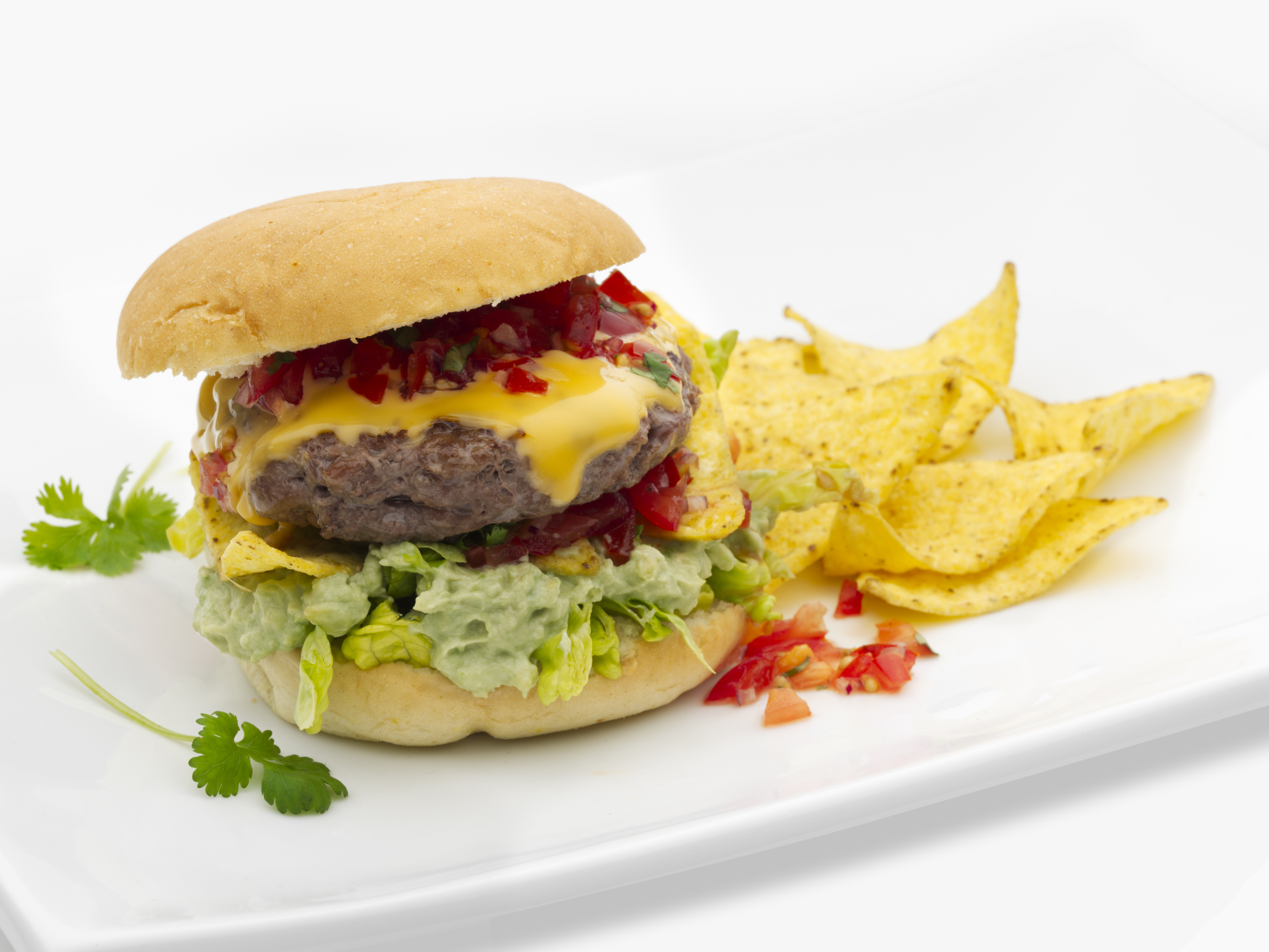 Homestyle hamburger Mexican style