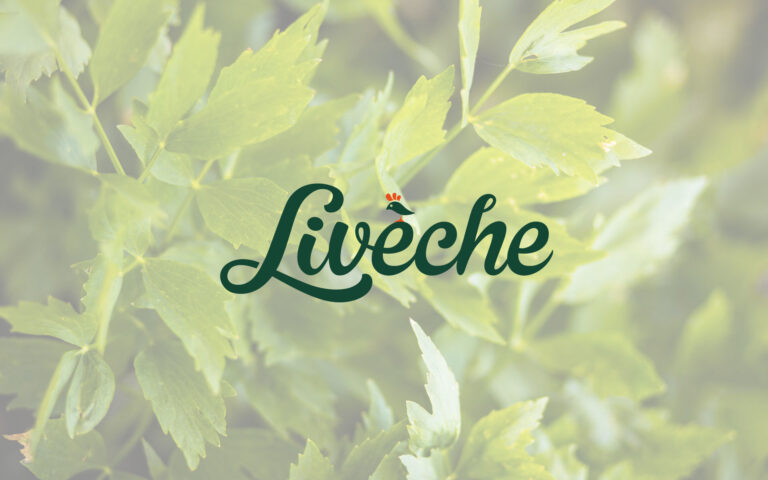 Liveche Logo Hero 2