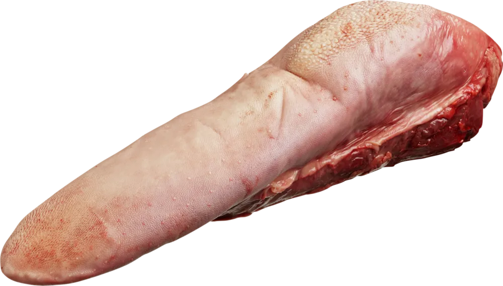 F4fjg6kd2y